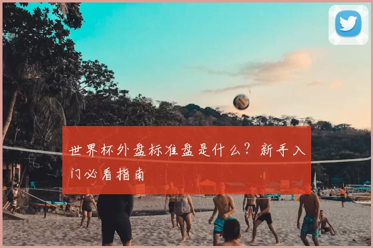 世界杯外盘标准盘是什么？新手入门必看指南