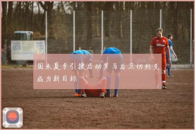 国米夏季引援启动罗马后卫切利克成为新目标