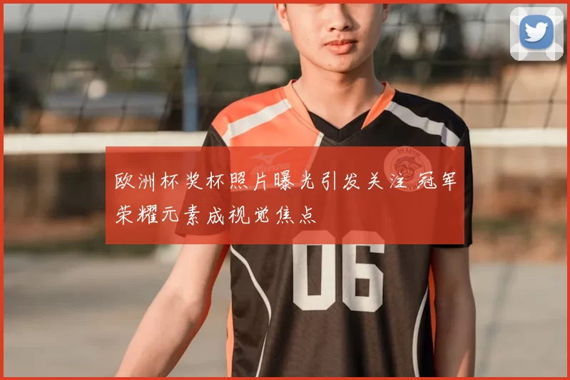 欧洲杯奖杯照片曝光引发关注 冠军荣耀元素成视觉焦点