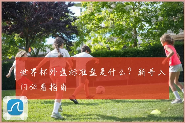 世界杯外盘标准盘是什么？新手入门必看指南