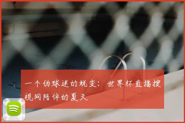 一个伪球迷的蜕变：世界杯直播搜视网陪伴的夏天