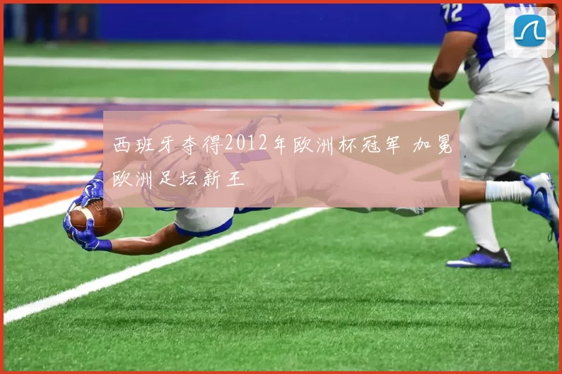 西班牙夺得2012年欧洲杯冠军 加冕欧洲足坛新王