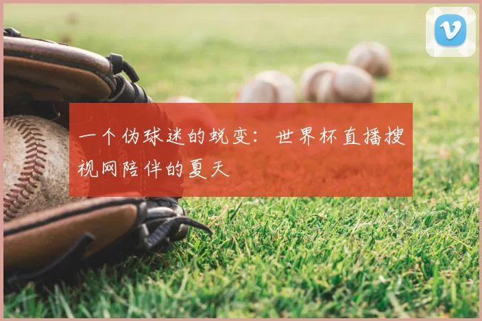 一个伪球迷的蜕变：世界杯直播搜视网陪伴的夏天
