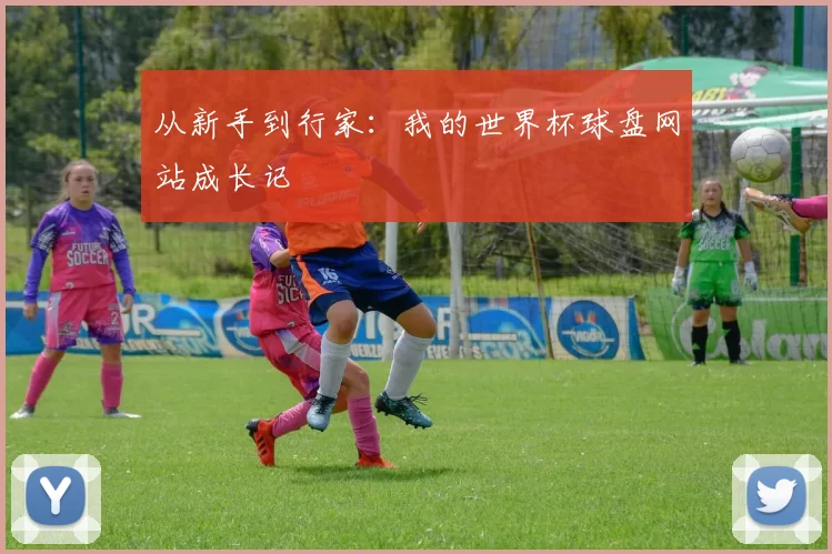 从新手到行家：我的世界杯球盘网站成长记