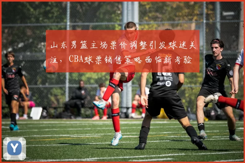 山东男篮主场票价调整引发球迷关注，CBA球票销售策略面临新考验