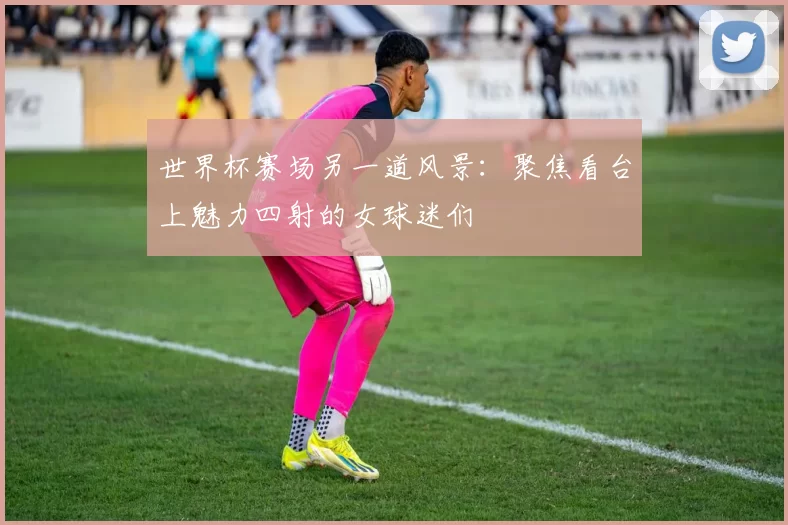 世界杯赛场另一道风景：聚焦看台上魅力四射的女球迷们
