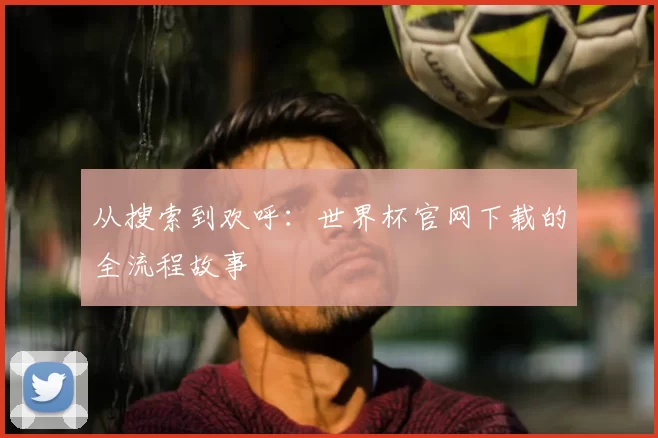 从搜索到欢呼：世界杯官网下载的全流程故事