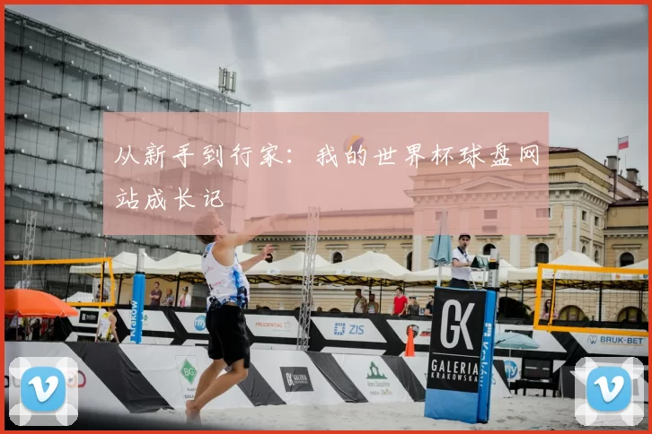 从新手到行家：我的世界杯球盘网站成长记