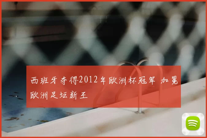 西班牙夺得2012年欧洲杯冠军 加冕欧洲足坛新王